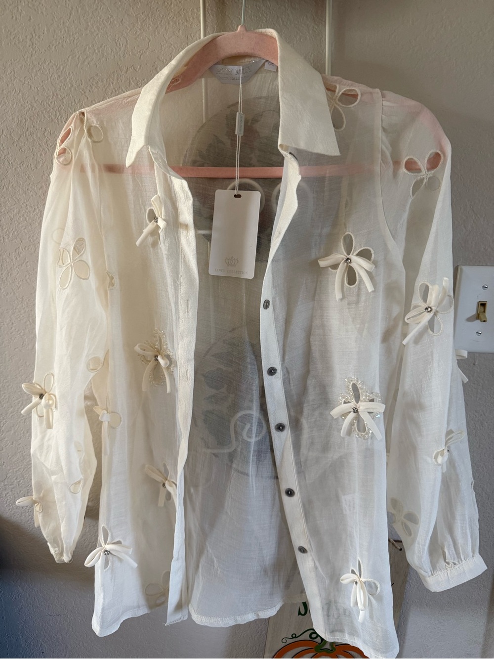 Sheer Cream Embroidered Flower Button-Up Blouse